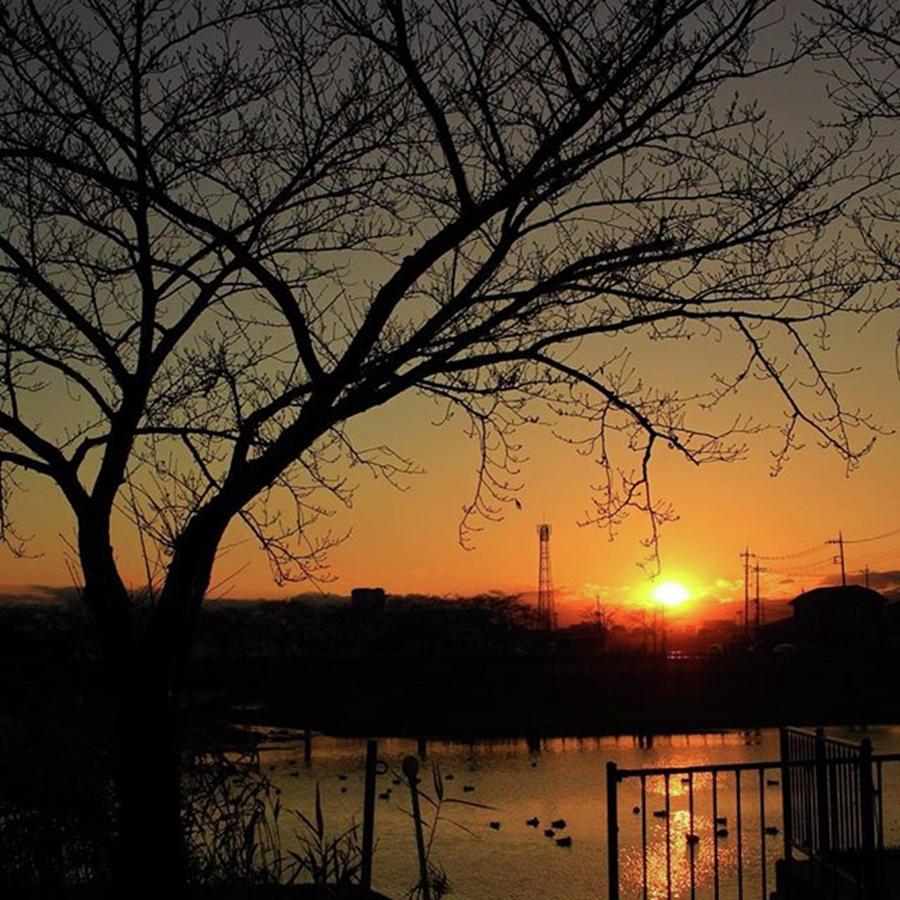 Sunset Photograph - Instagram Photo #821481626175 by Minori Koishi