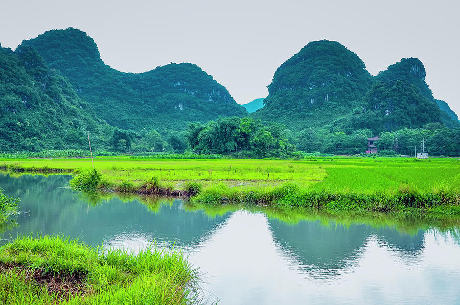 Karst rural scenery in spring #83 Photograph by Carl Ning