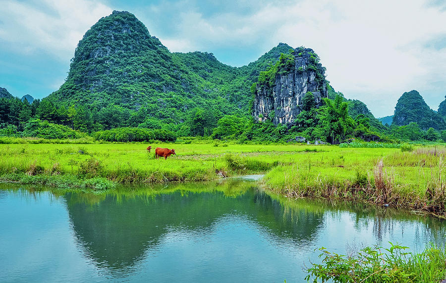 Karst rural scenery in spring #84 Photograph by Carl Ning
