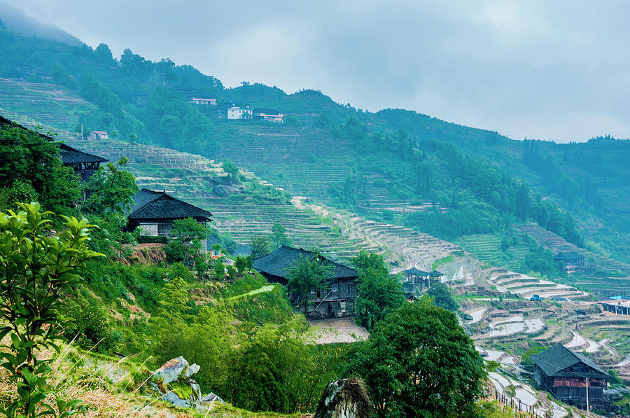 Longji terraced fields scenery #84 Photograph by Carl Ning