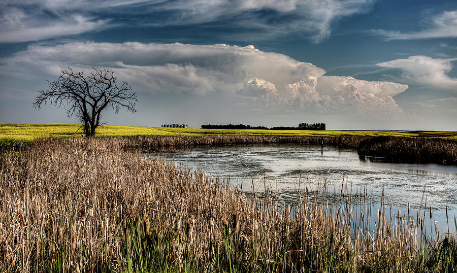 Storm Clouds Saskatchewan #84 Photograph by Mark Duffy