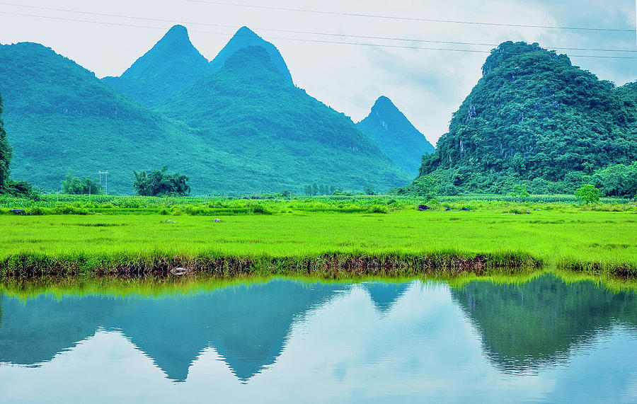 Karst rural scenery in spring #87 Photograph by Carl Ning