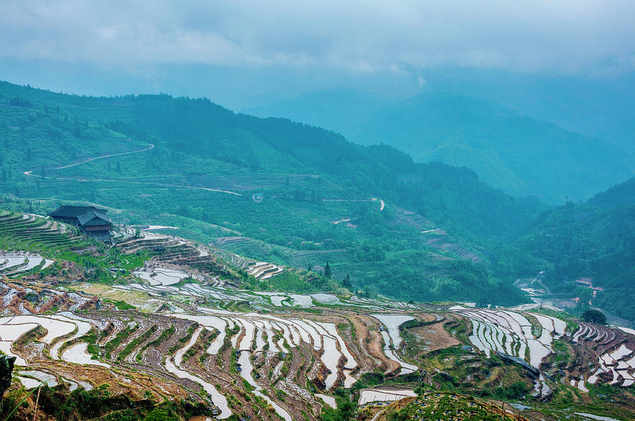 Longji terraced fields scenery #87 Photograph by Carl Ning