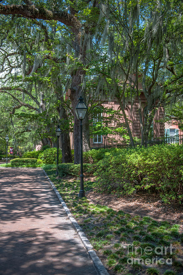 CofC Campus Stroll Photograph by Dale Powell