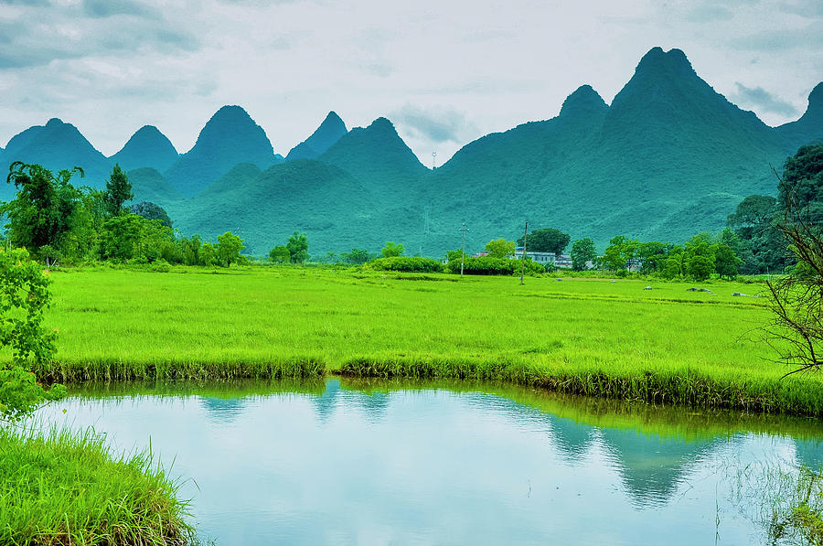 Karst rural scenery in spring #89 Photograph by Carl Ning