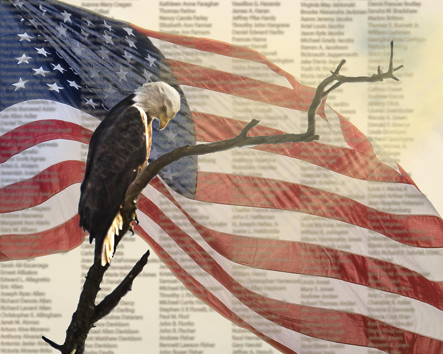 Eagle American Flag 911