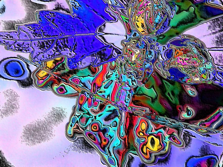 Abstract Dragonfly #9 Digital Art by Belinda Cox