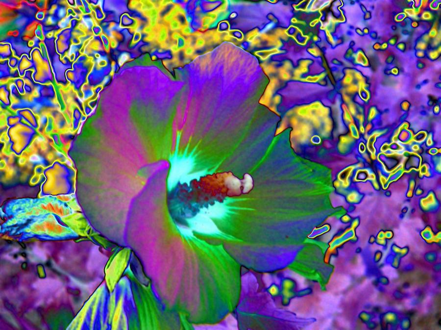 Abstract Digital Art - Abstract Flowers #9 by Belinda Cox