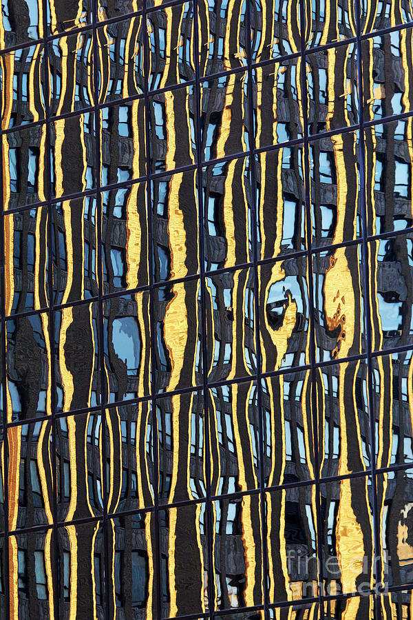 Abstract Reflection by Tony Cordoza Abstract Reflection by Tony Cordoza
