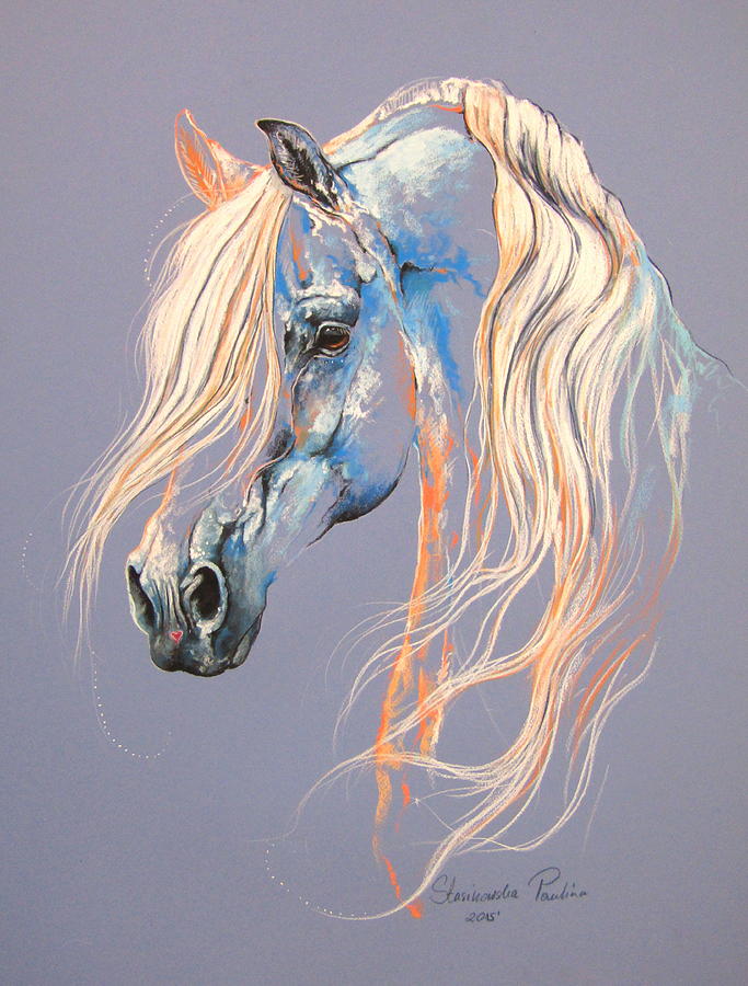 Arabian Horse Painting by Paulina Stasikowska