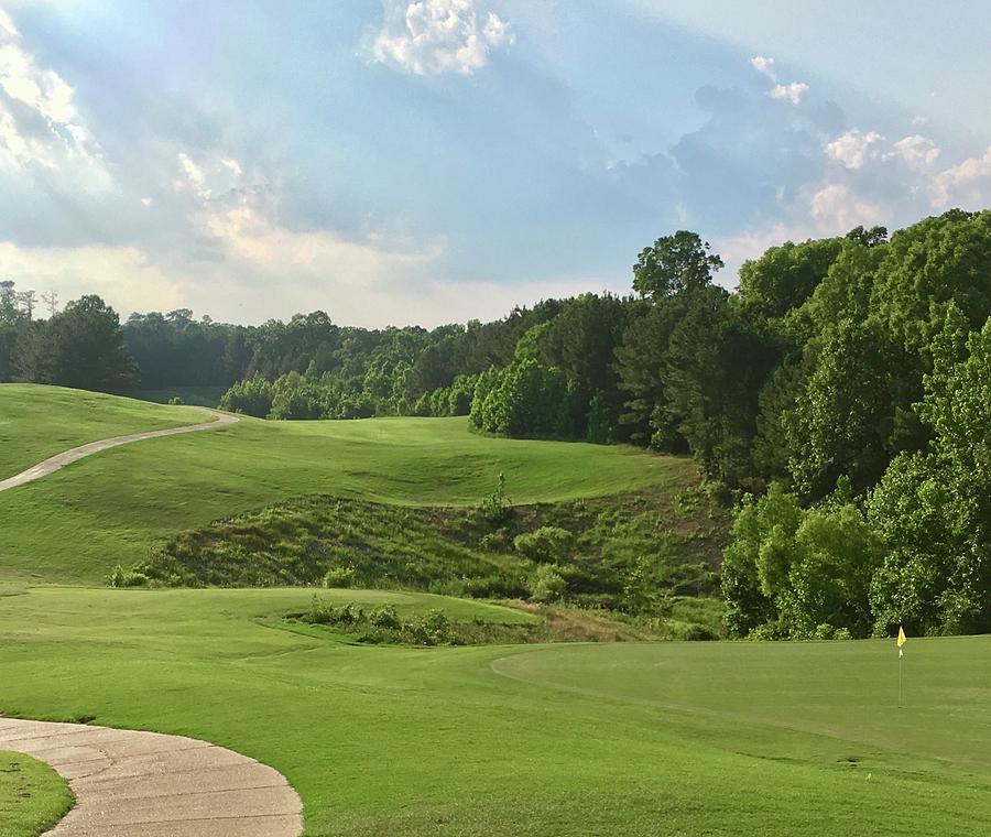 9 at Mallard Pointe Golf Course Photograph by Terry Cobb Fine Art