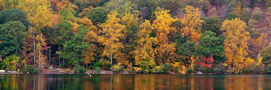 Autumn Lake #9 Photograph by Songquan Deng