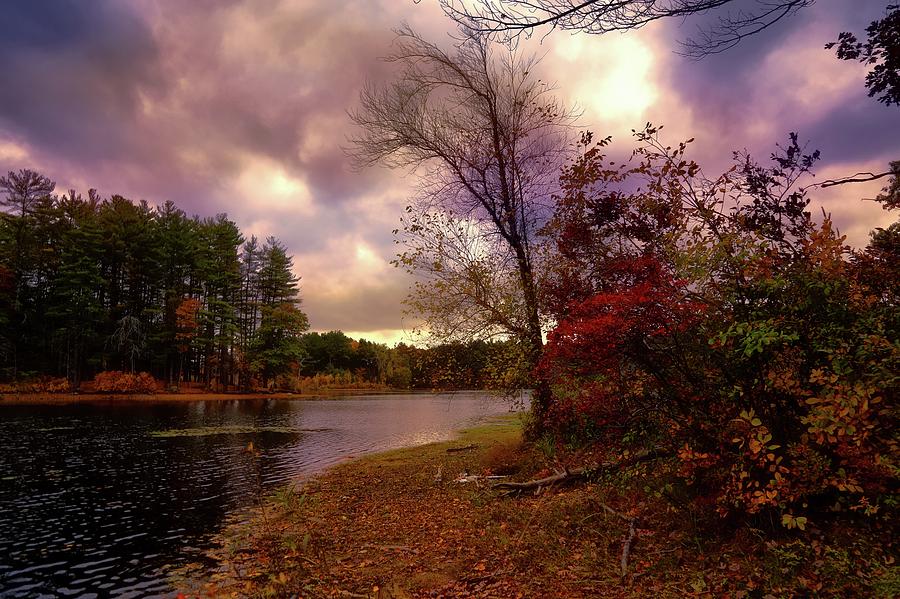 Autumn Landscape #4 Photograph by Lilia S