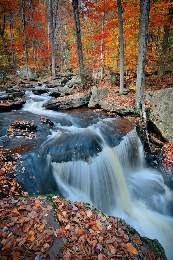 Autumn waterfalls #9 Photograph by Songquan Deng