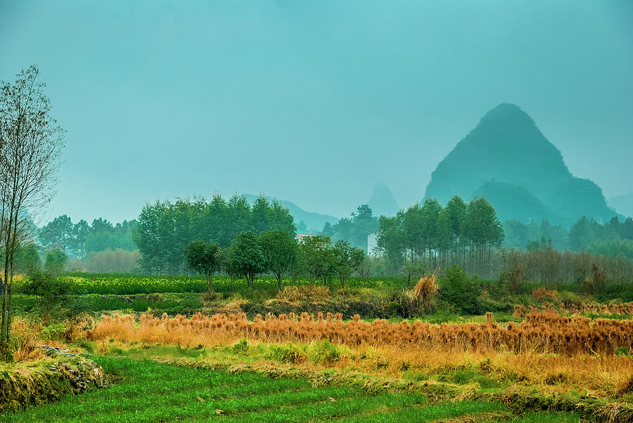 Beautiful countryside scenery in autumn #9 Photograph by Carl Ning