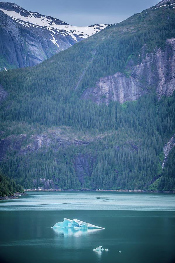 Beautiful Landscape In Alaska Mountains  #9 Photograph by Alex Grichenko