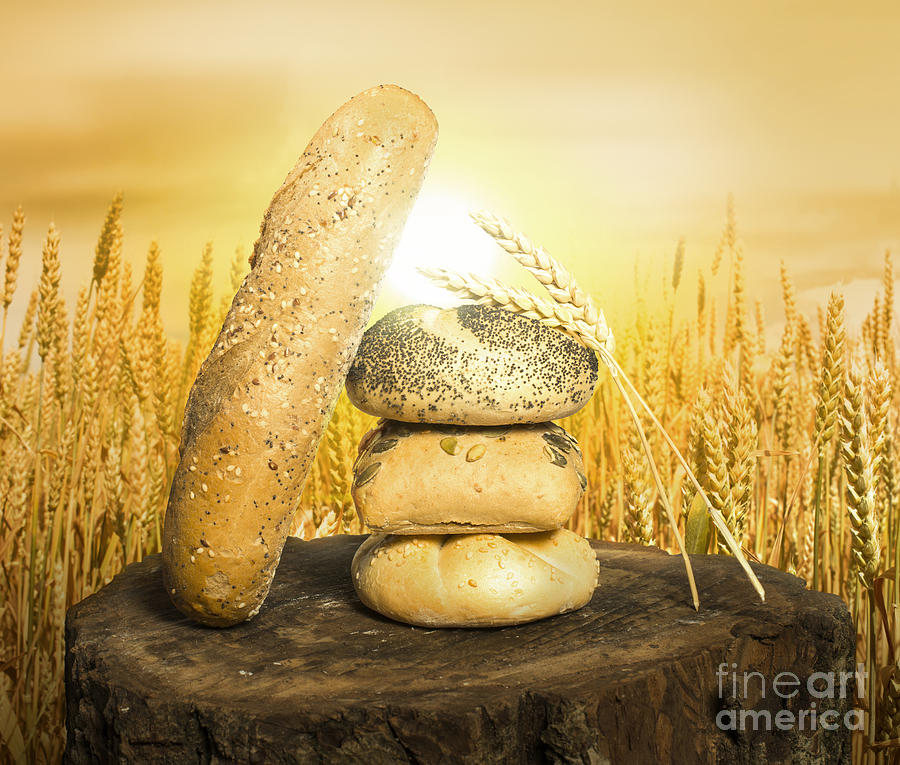 Bread Photograph - Bread and wheat cereal crops. #9 by Deyan Georgiev