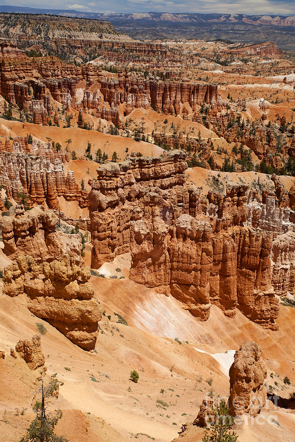 Bryce Canyon - Utah #9 Photograph by Anthony Totah