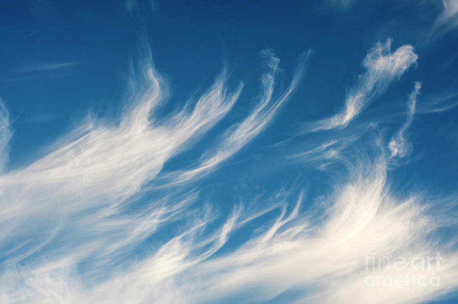 Cirrus Fibratus Fair Weather Clouds #9 Photograph by Jim Corwin