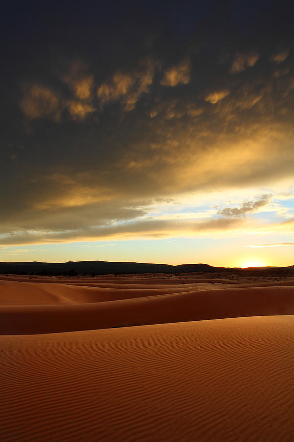 Coral Pink Sand dunes at sunset #9 Photograph by Pierre Leclerc Photography