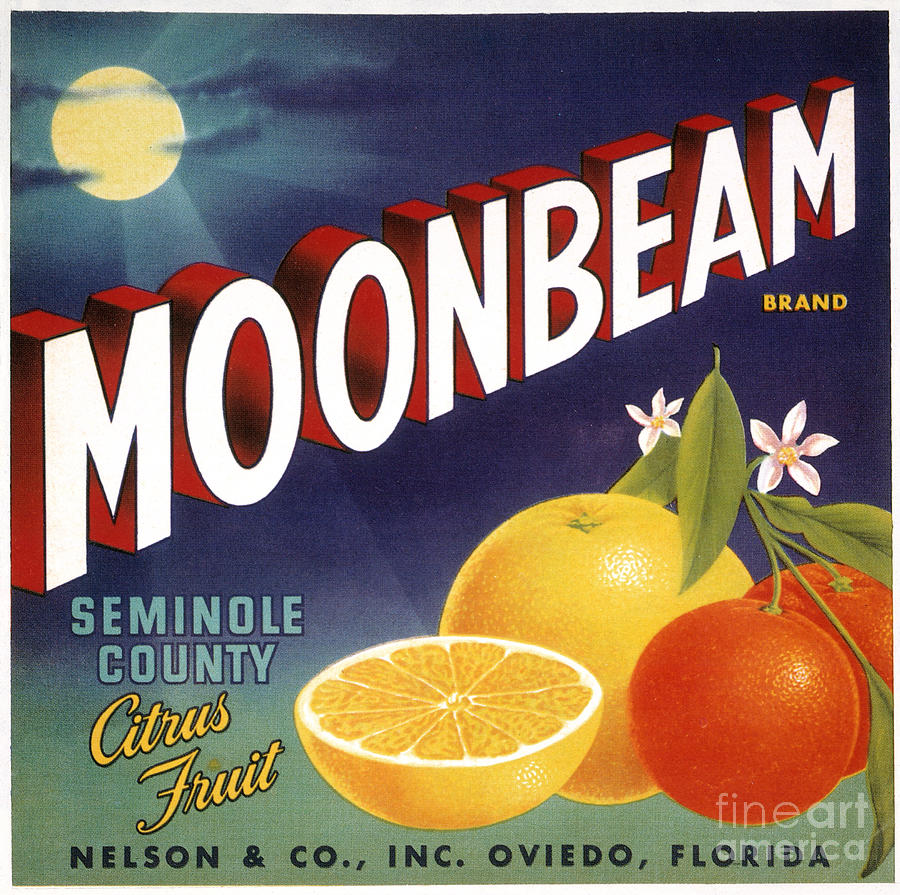 CRATE LABEL, 20th CENTURY #9 Photograph by Granger