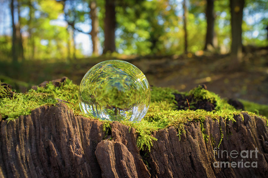 snack akse Anzai Crystal Ball Nature Photograph by Ezume Images