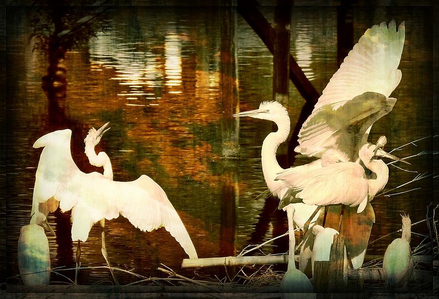 9 Egrets by Leslie Revels 9 Egrets by Leslie Revels