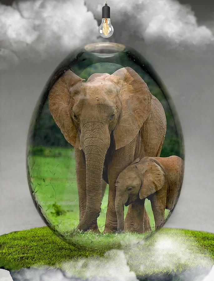 Elephant Mixed Media - Elephant Art #9 by Marvin Blaine