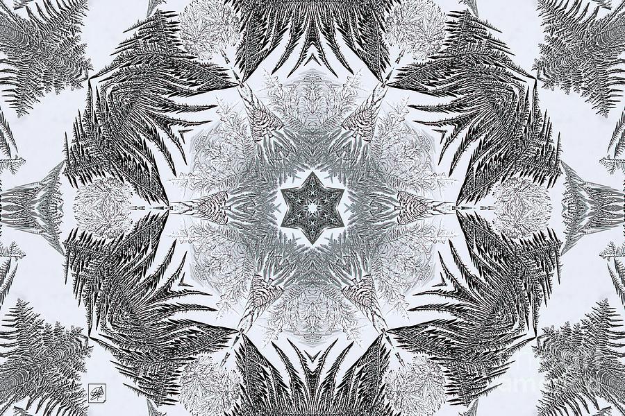 Fern Frost Mandala #8 Digital Art by J McCombie