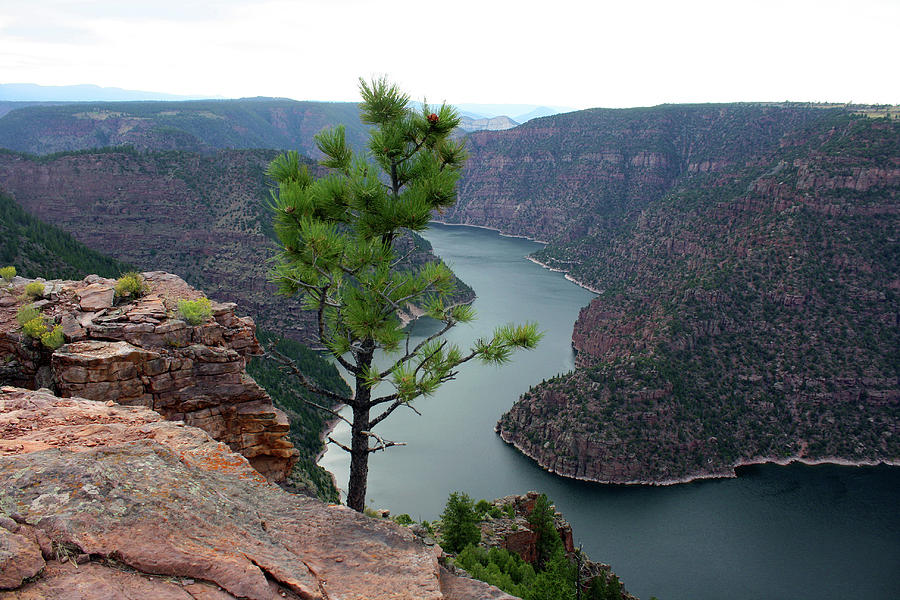 Flaming Gorge National Park #9 Photograph by Ellen Tully