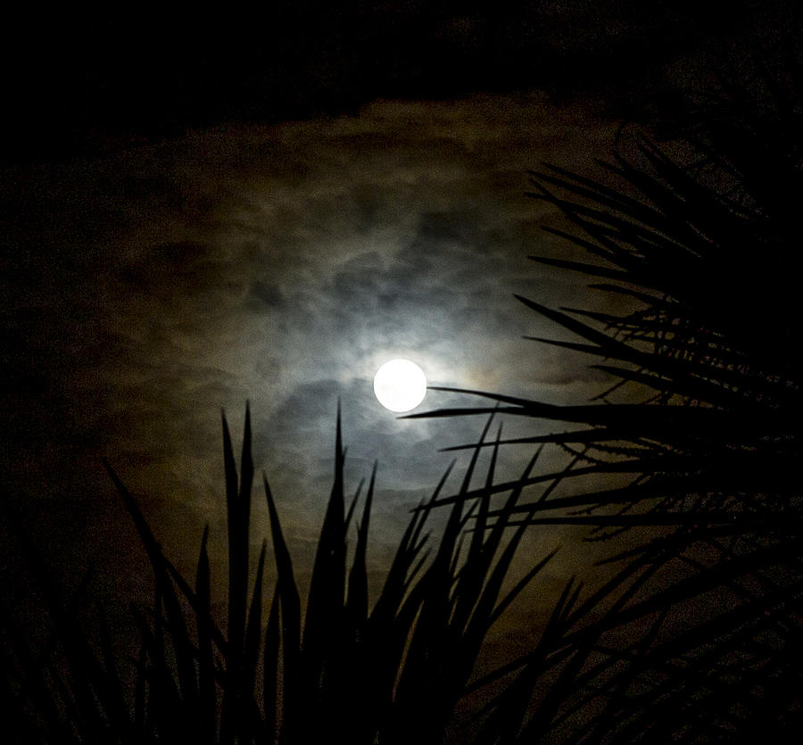 Full Moon Photograph