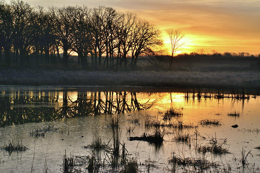 Glacial Park Sunrise #9 Photograph by Ray Mathis