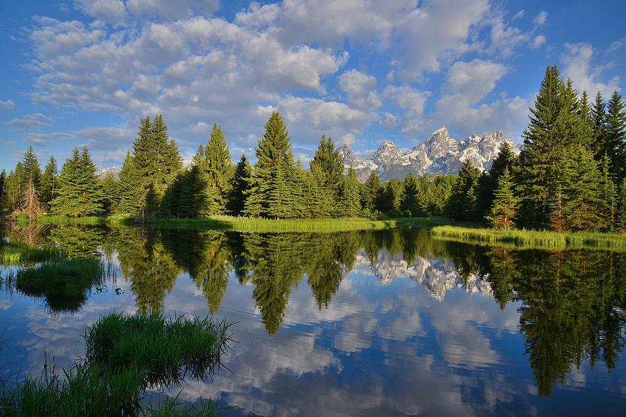Grand Teton National Park #9 Photograph by Ray Mathis