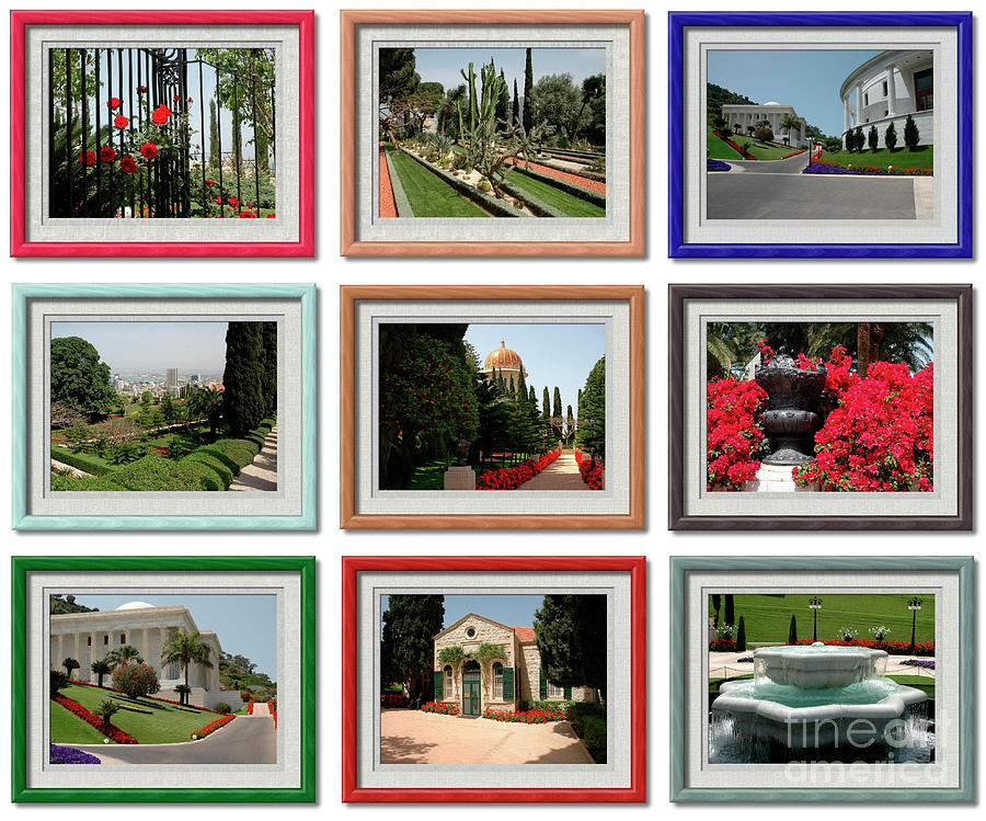 9 Image Collage of Haifa, Israel Photograph by Tomi Junger