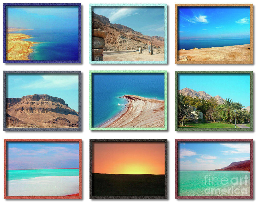 9 image Collage of Israel Photograph by Tomi Junger