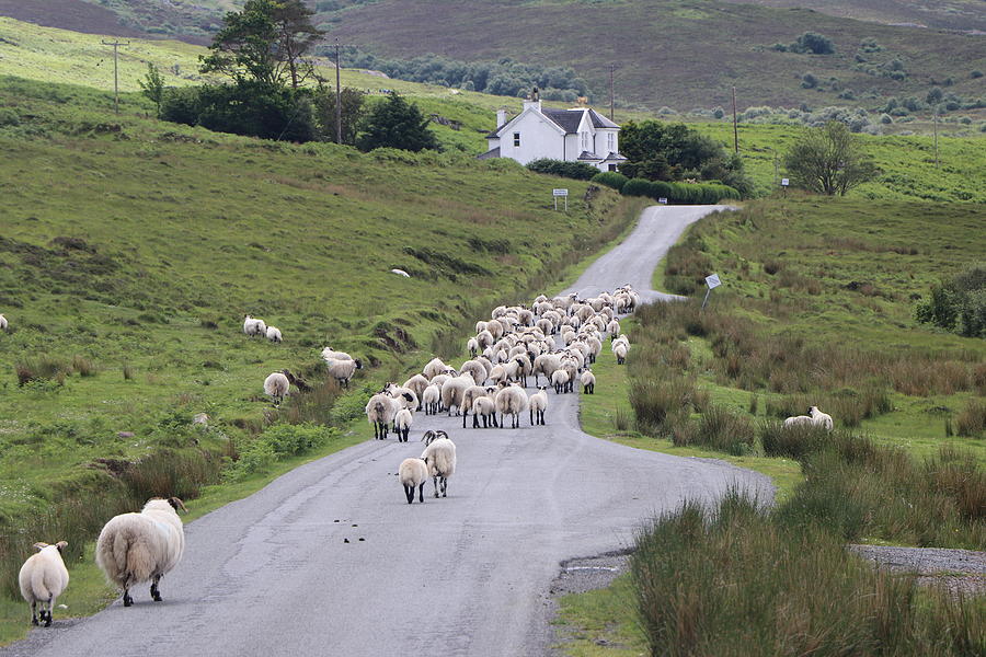 Isle of Skye Scotland United Kingdom #9 Photograph by Paul James Bannerman