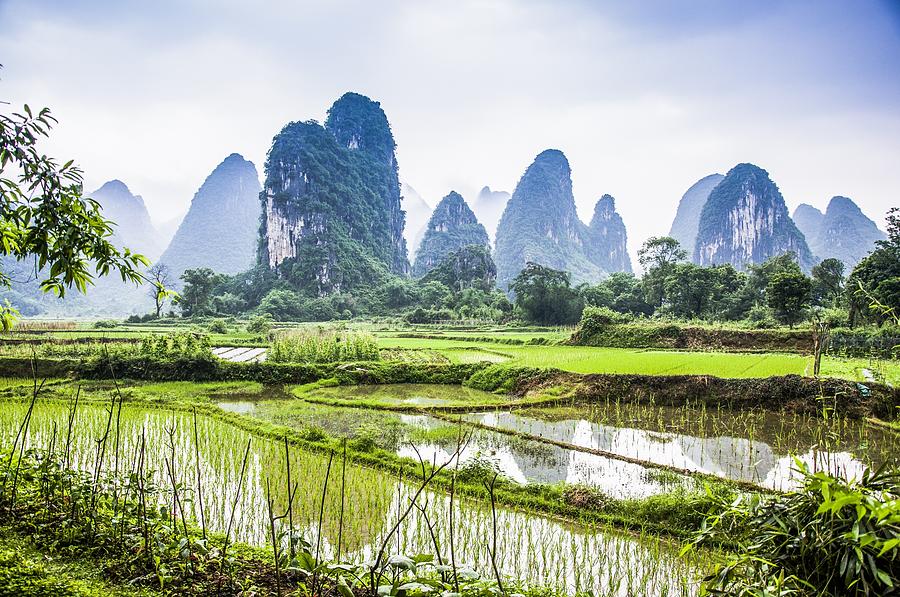 Karst rural scenery in spring Photograph by Carl Ning - Fine Art America