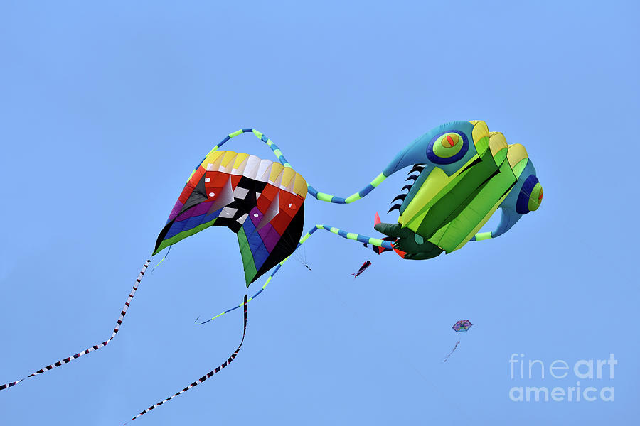 Kites flying during Kite festival #9 Photograph by George Atsametakis