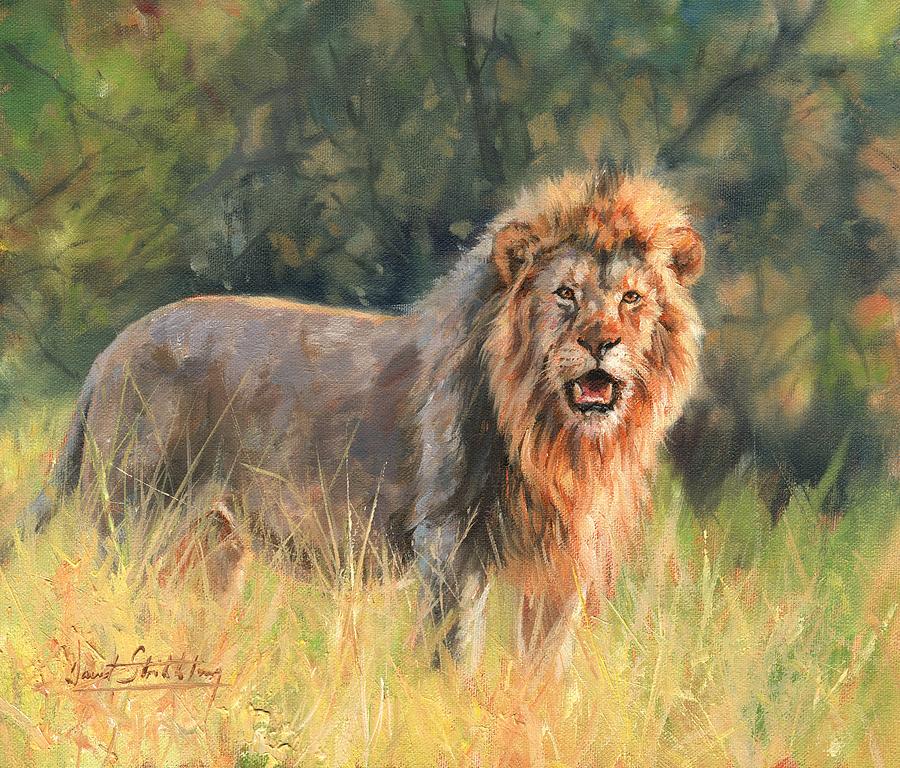 Lion #9 Painting by David Stribbling