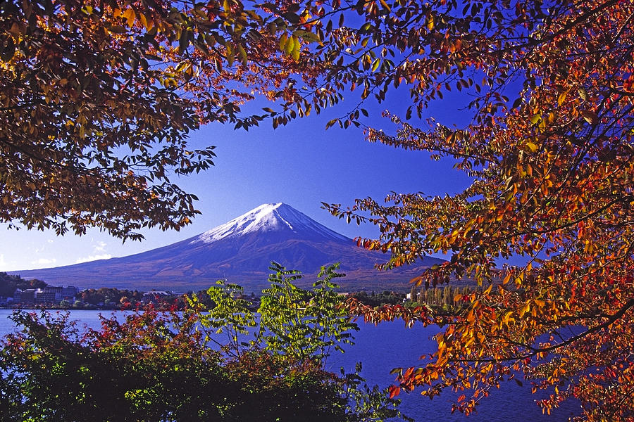 Mount Fuji in Autumn Photograph by Michele Burgess