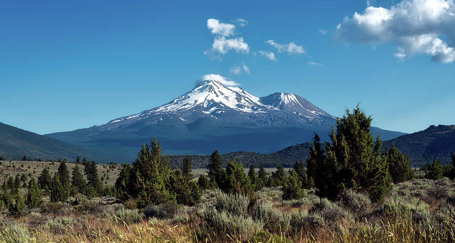 Mount Shasta Photograph by Mountain Dreams