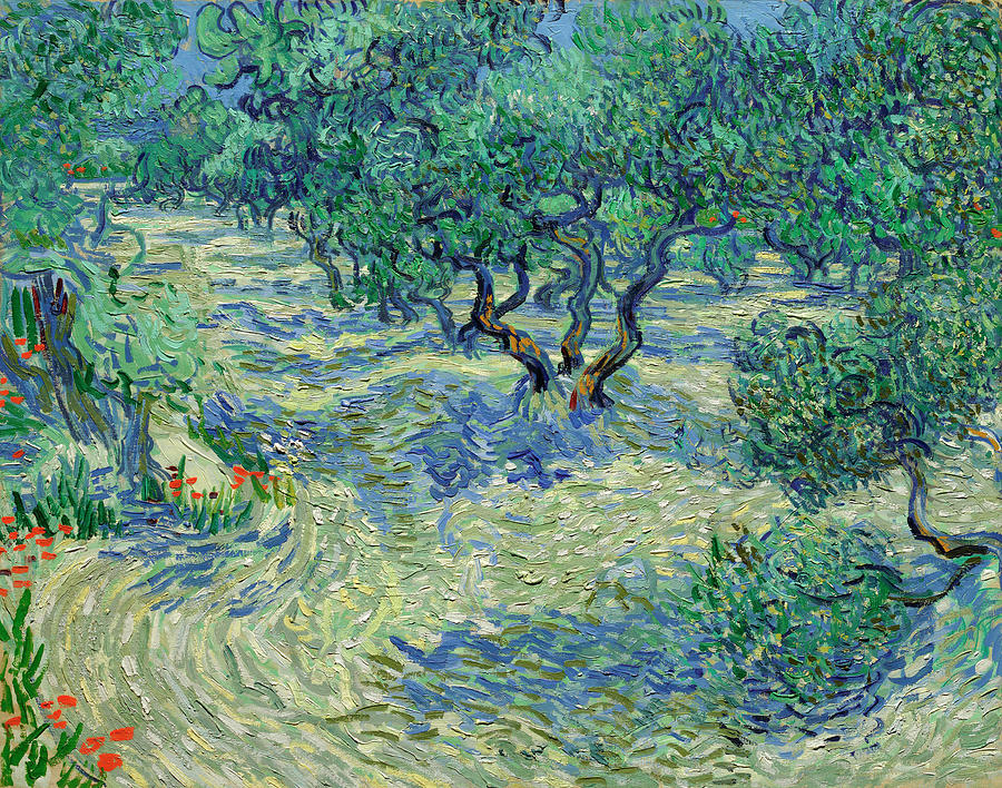  Olive Orchard #10 Painting by Vincent van Gogh