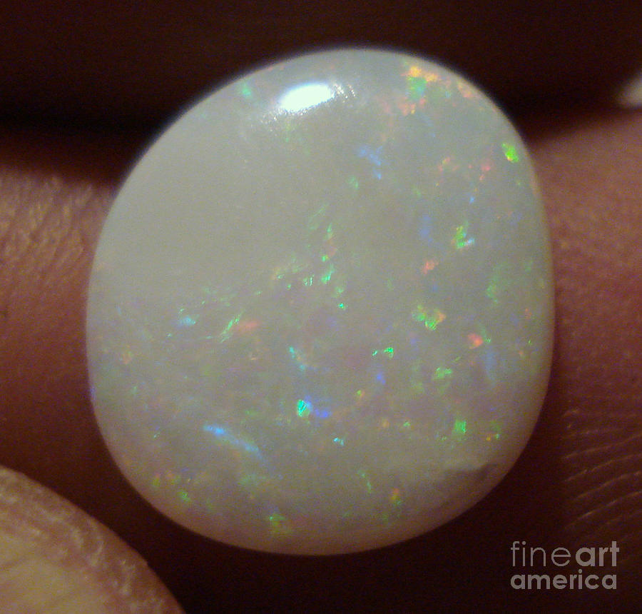 Jewelry Photograph - Opal Cabochon #10 by Neon Flash
