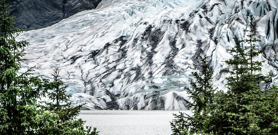 Panoramic view of Mendenhall Glacier Juneau Alaska #9 Photograph by Alex Grichenko