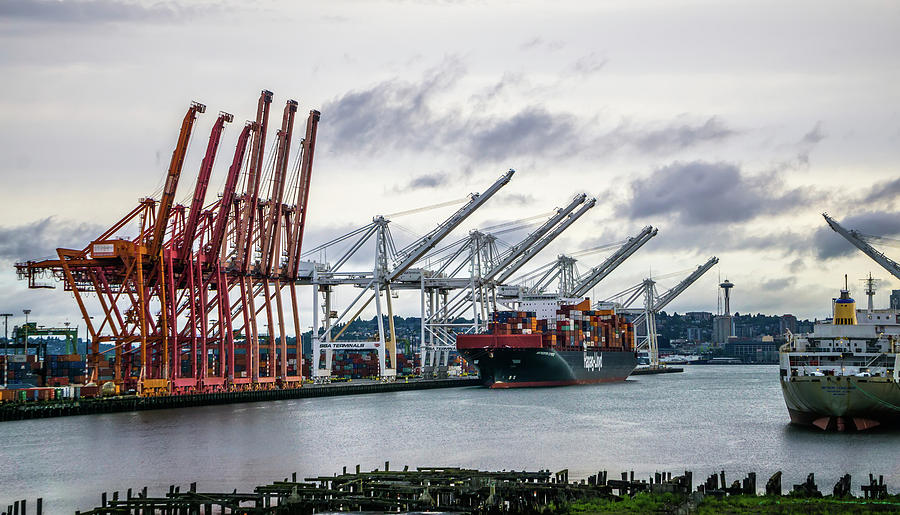 Port Of Seattle With Downtown Skyline Early Morning #9 Photograph by Alex Grichenko