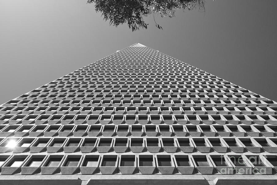 San Francisco Transamerica Pyramid Building #9 Photograph by ELITE IMAGE photography By Chad McDermott