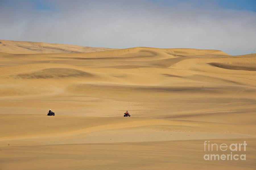 Sand Dunes In Namib Desert #9 Photograph by Francesco Tomasinelli