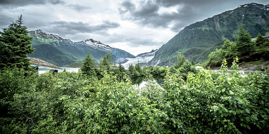 Scenery Around Mendenhall Glacier Park In Juneau Alaska #9 Photograph by Alex Grichenko