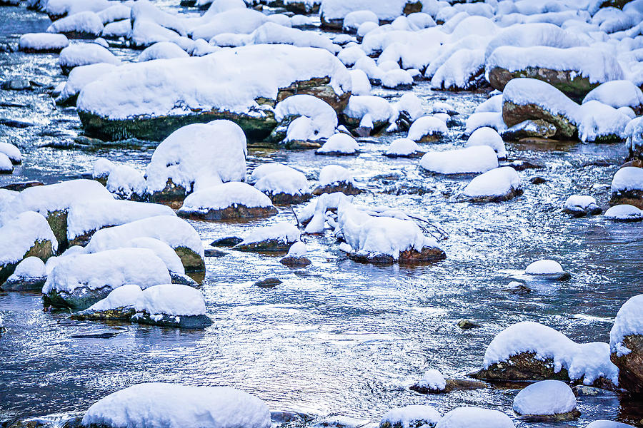 Snow And Ice Covered Mountain Stream #9 Photograph by Alex Grichenko