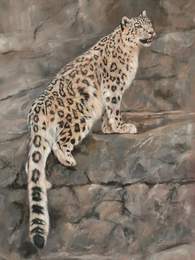 Snow Leopard #9 Painting by David Stribbling